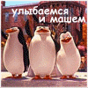 Admin